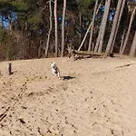 Tjill 6 Pers Loonse En Drunense Duinen En Efteling Kaatsheuvel
