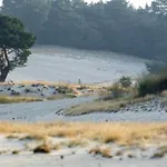Tjill 6 Pers Loonse En Drunense Duinen En Efteling Casa de Férias *