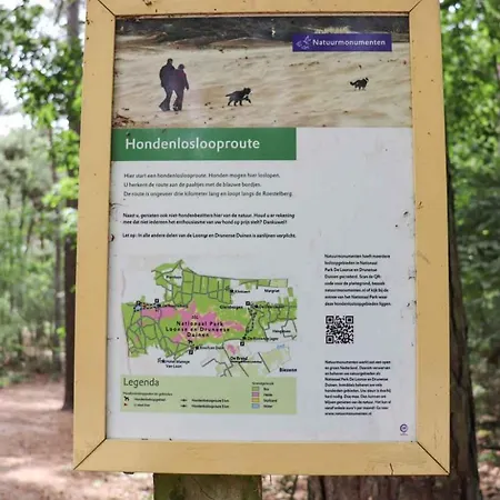 Tjill 6 Pers Loonse En Drunense Duinen En Efteling Kaatsheuvel