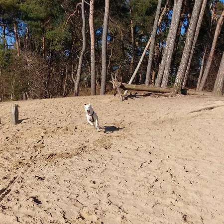 Tjill 6 Pers Loonse En Drunense Duinen En Efteling Kaatsheuvel
