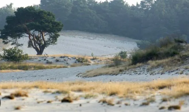 Tjill 6 Pers Loonse En Drunense Duinen En Efteling 別荘 *