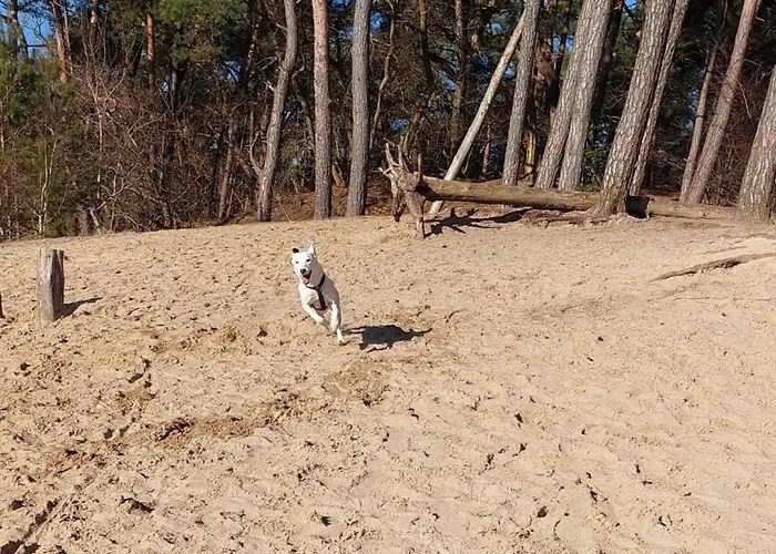 Tjill 6 Pers Loonse En Drunense Duinen En Efteling 卡茨休维尔